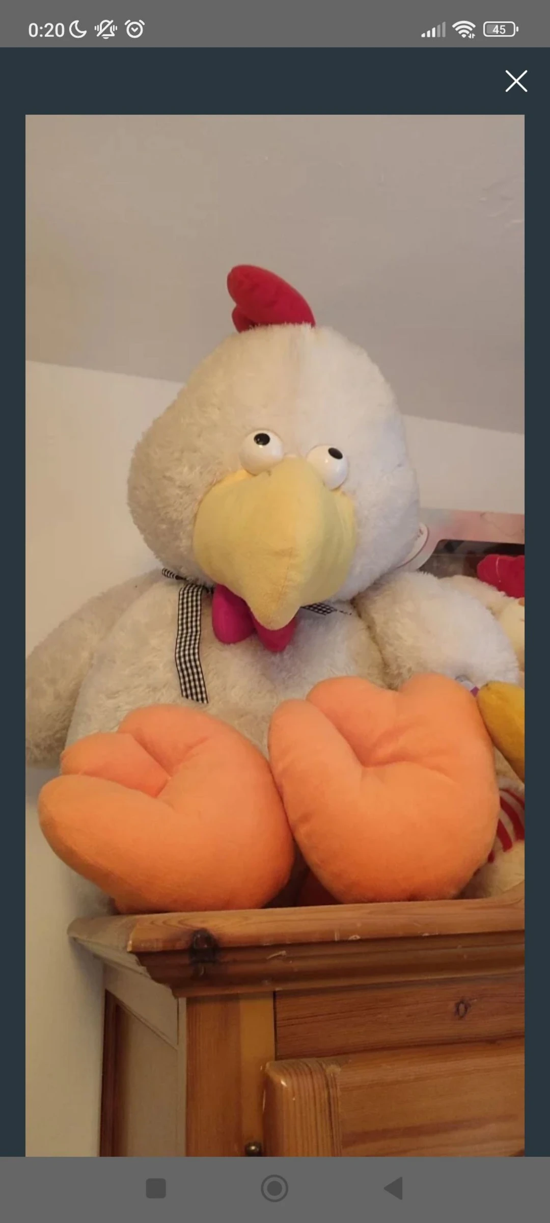 Peluche gallina